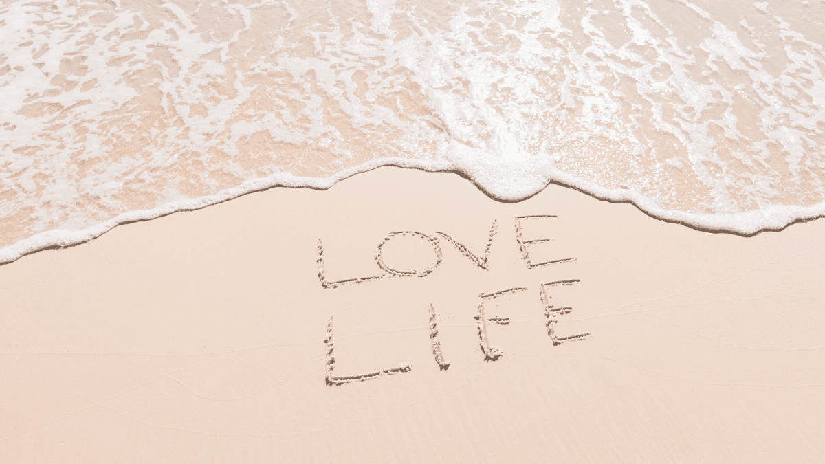 Love your life